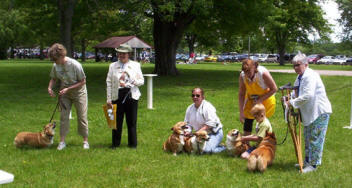 Corgipalooza': 150+ corgis to gather for Cincinnati dog meetup